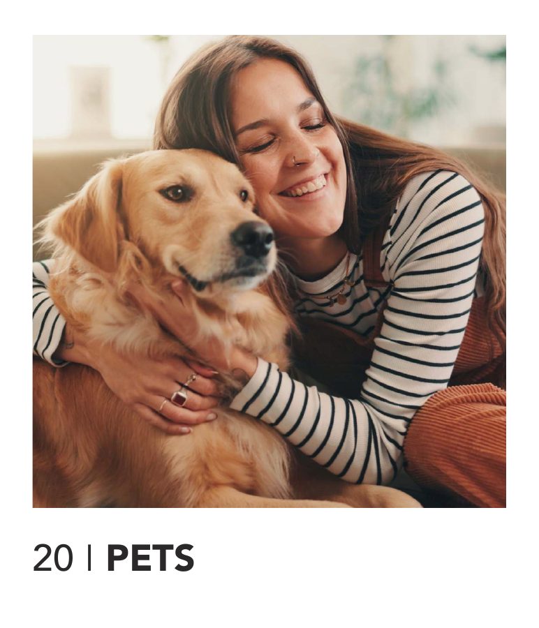 Anteprima della prima pagina del catalogo Animali domestici