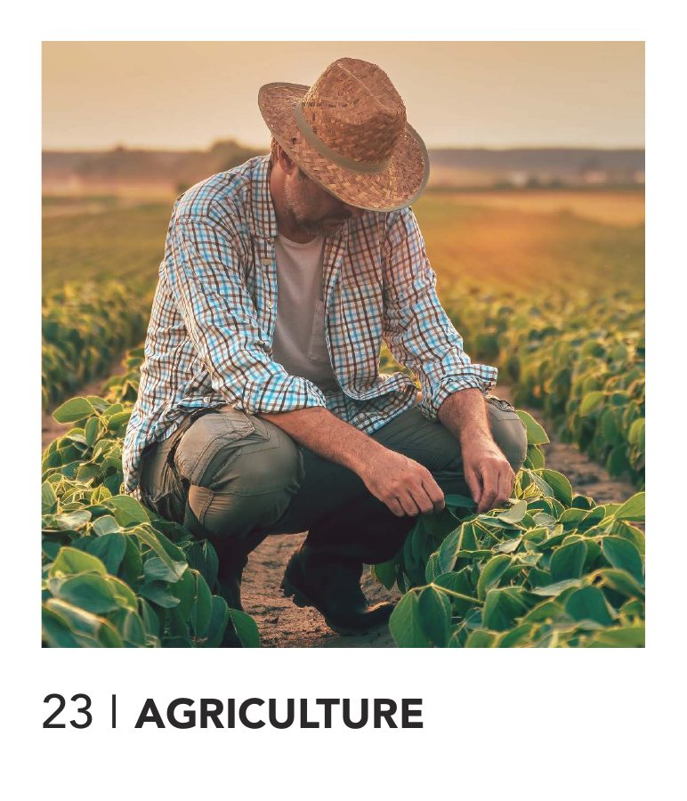 Anteprima della prima pagina del catalogo Agricoltura
